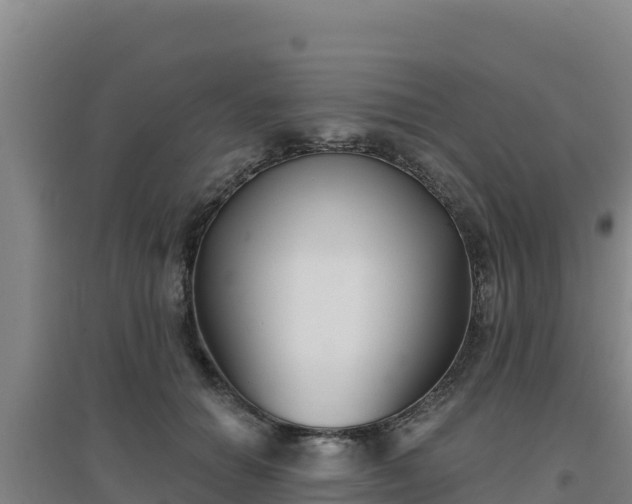 X0000096720654200802121249
