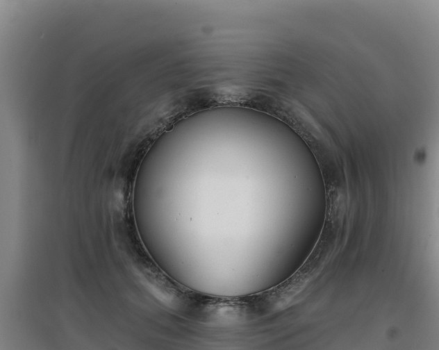 X0000096720655200802121249