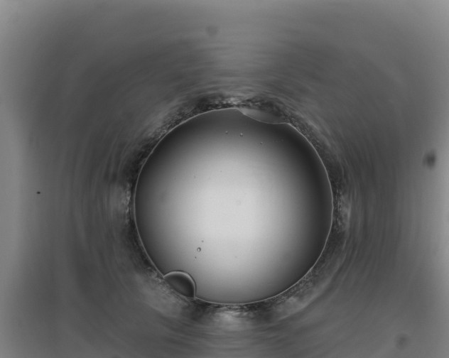X0000096720657200802121249