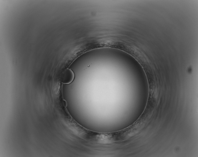 X0000096720660200802121249