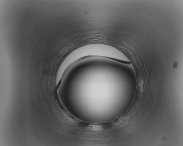 X0000096720665200802121249