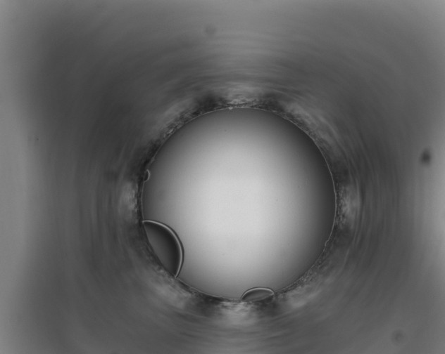 X0000096720667200802121249