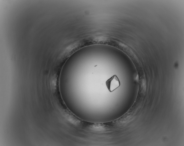 X0000096720668200802121249