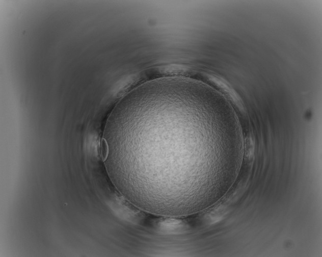 X0000096720669200802121249