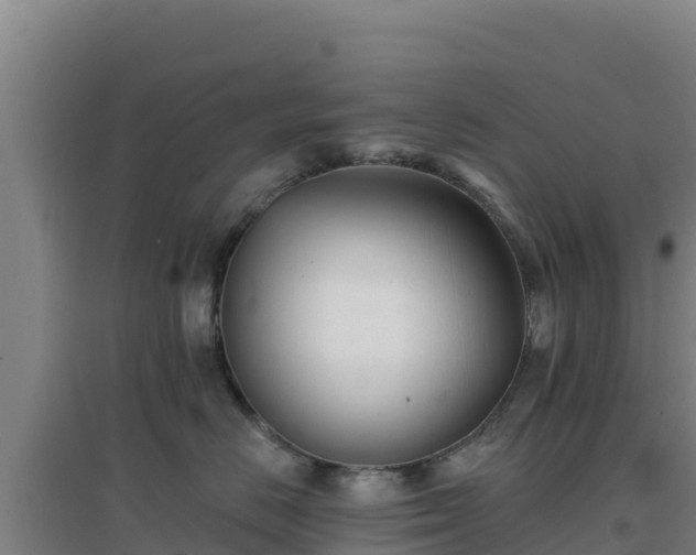 X0000096720670200802121249