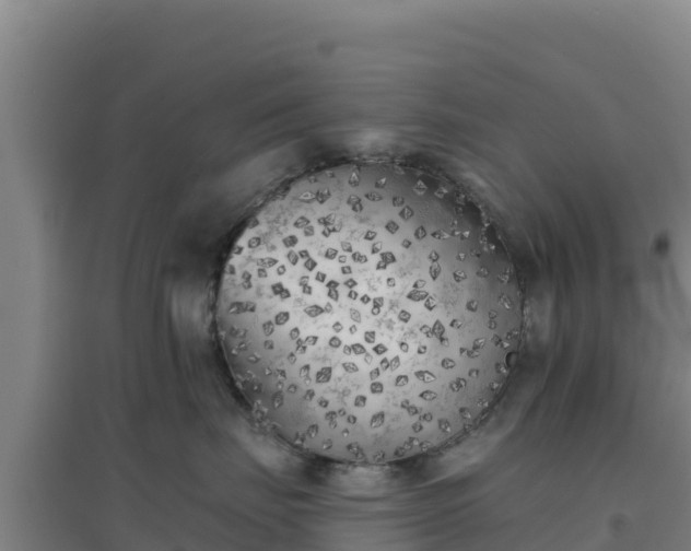 X0000096720671200802121249