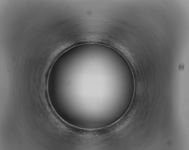 X0000096720673200802121249