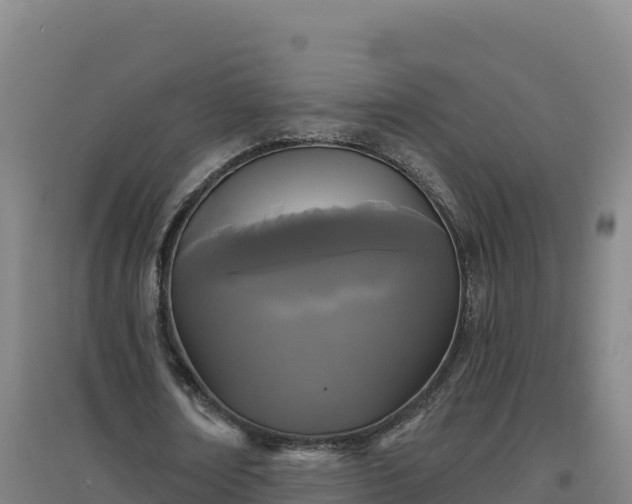 X0000096720674200802121249