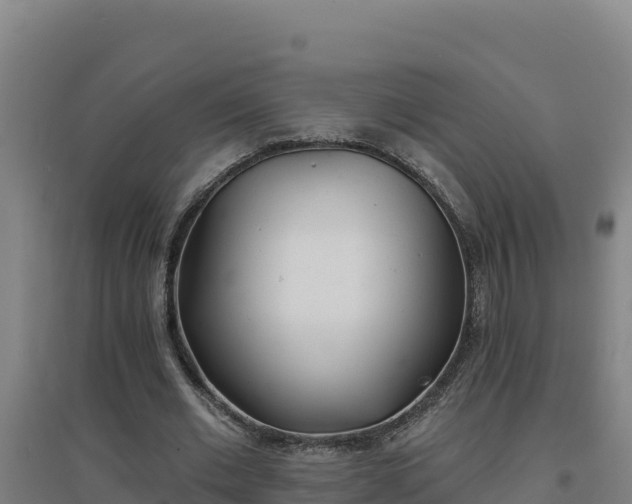 X0000096720677200802121249