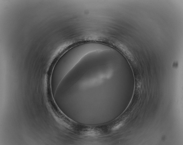 X0000096720678200802121249