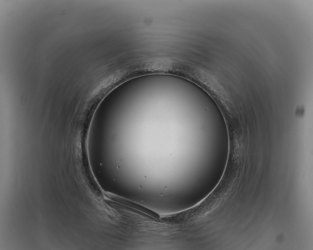 X0000096720681200802121249