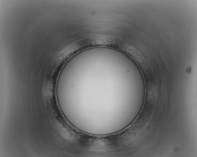 X0000096720683200802121249