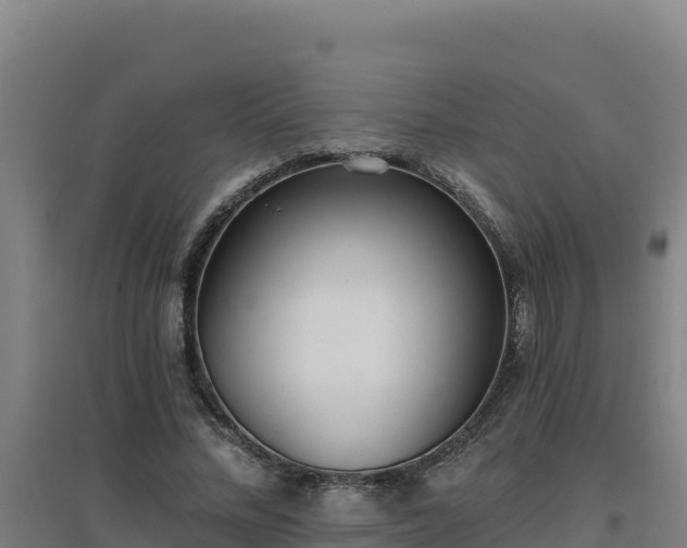 X0000096720684200802121249