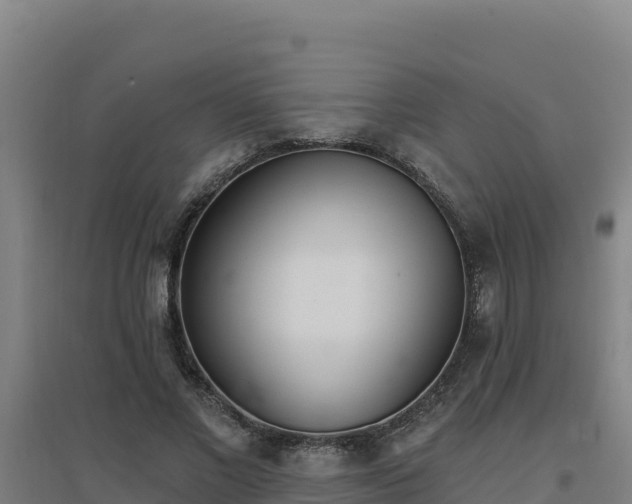 X0000096720685200802121248