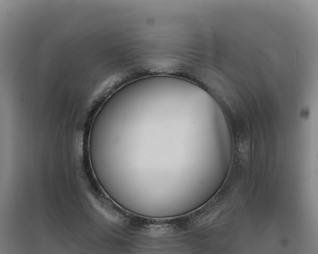 X0000096720686200802121248