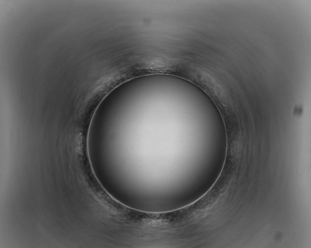 X0000096720689200802121248