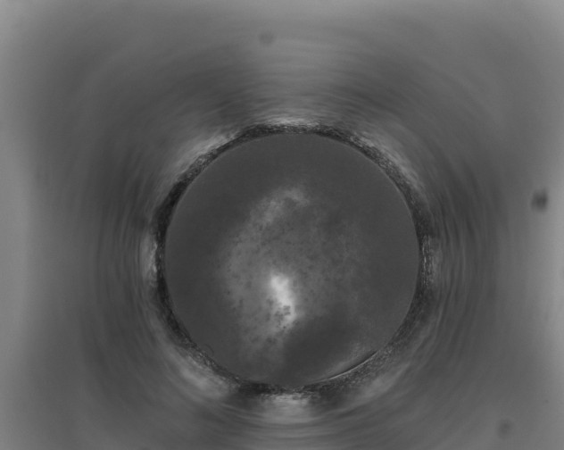 X0000096720692200802121248