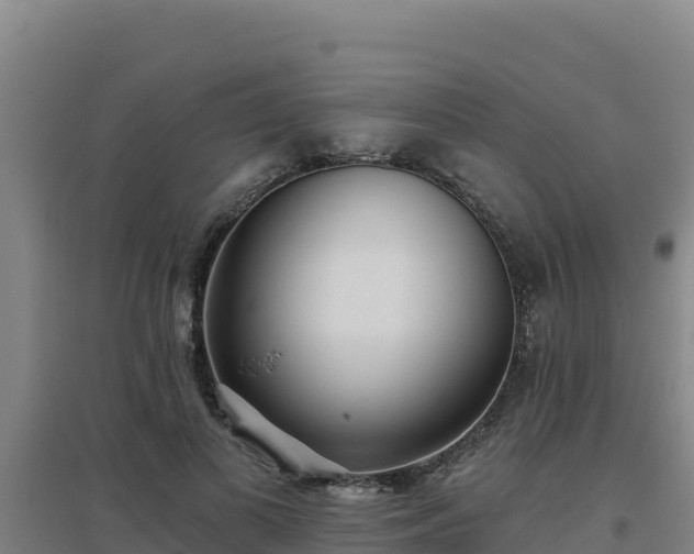 X0000096720693200802121248