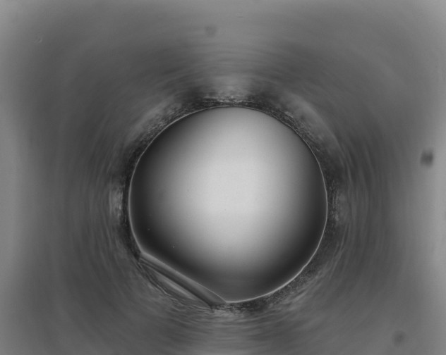 X0000096720697200802121248