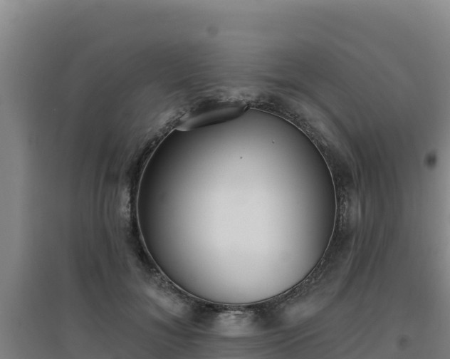 X0000096720700200802121248