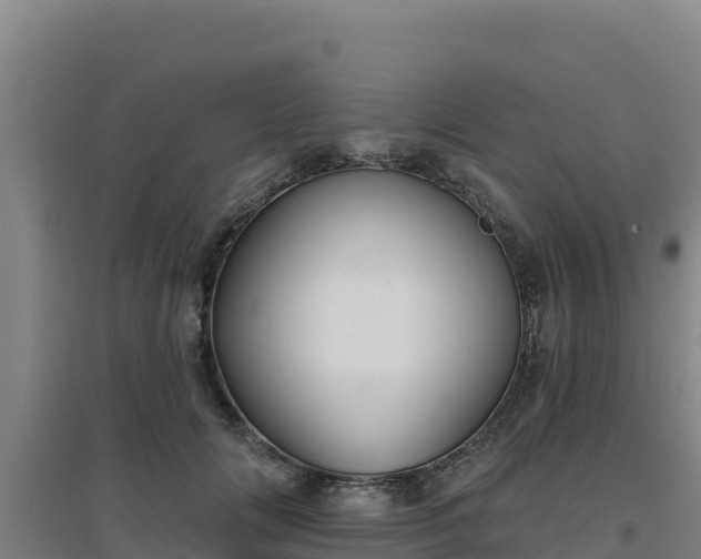 X0000096720702200802121248
