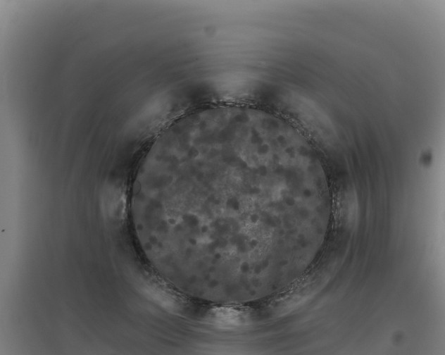 X0000096720703200802121248