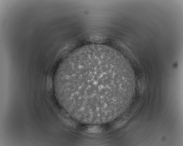 X0000096720705200802121248