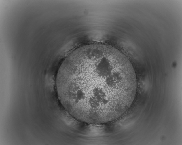 X0000096720707200802121248
