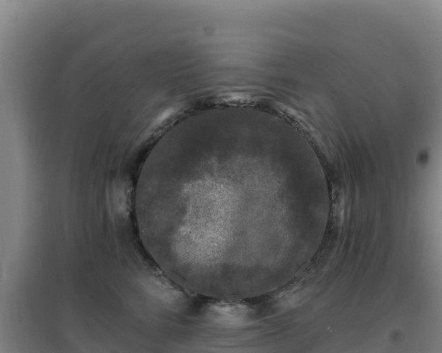 X0000096720712200802121248
