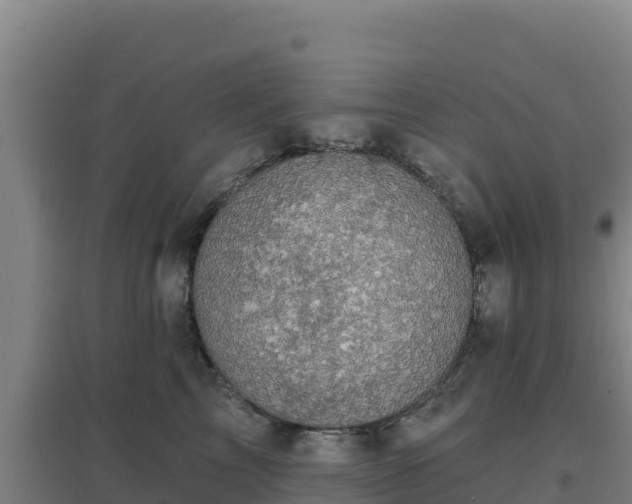 X0000096720713200802121248