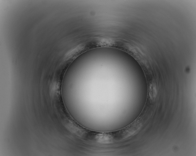 X0000096720714200802121248