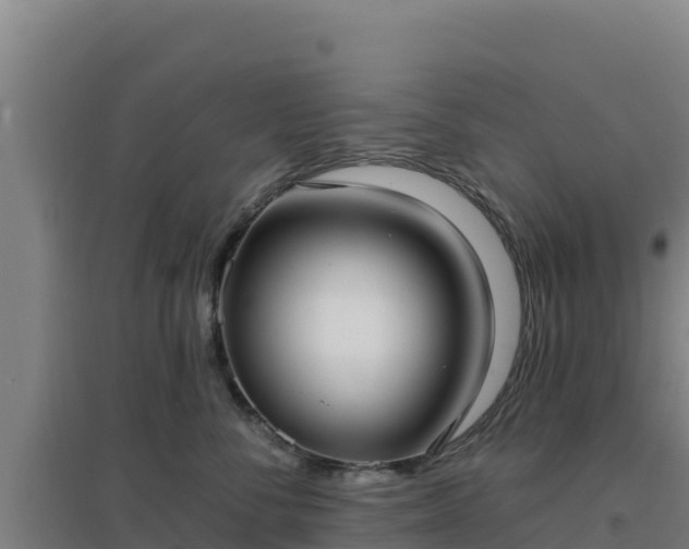 X0000096720716200802121248