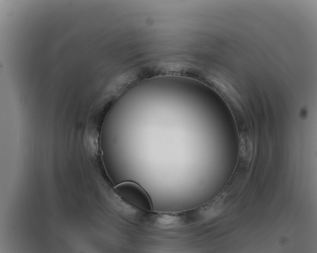 X0000096720718200802121248