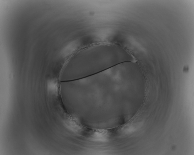 X0000096720720200802121248