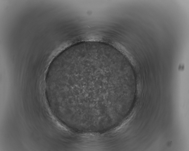 X0000096720721200802121247