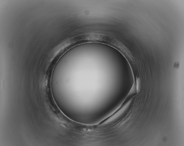 X0000096720723200802121247