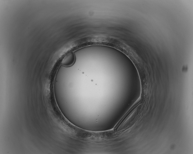 X0000096720727200802121247
