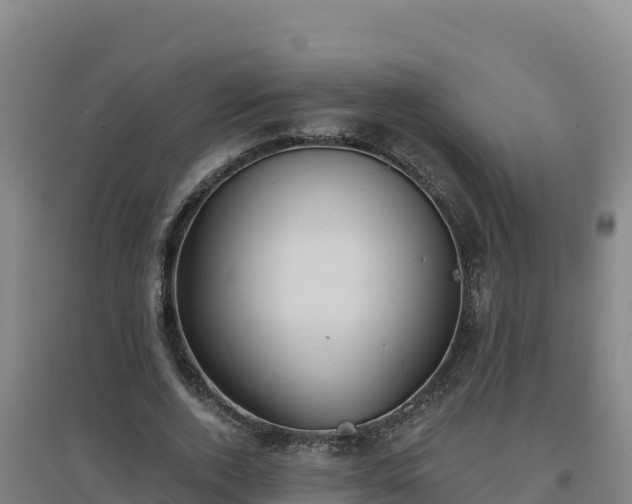 X0000096720728200802121247