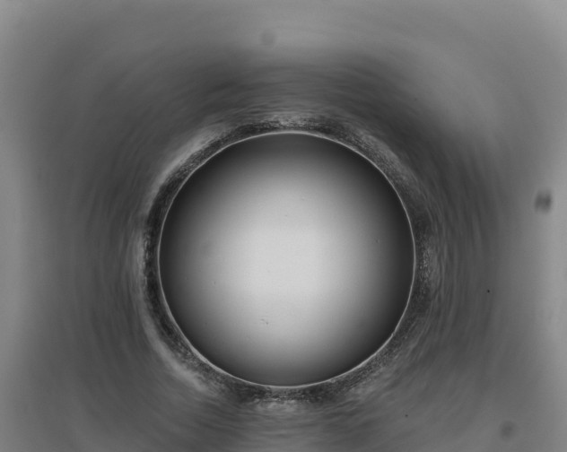X0000096720730200802121247