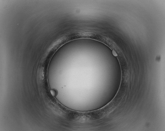 X0000096720731200802121247