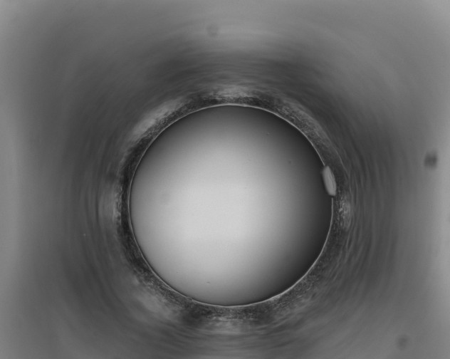 X0000096720732200802121247