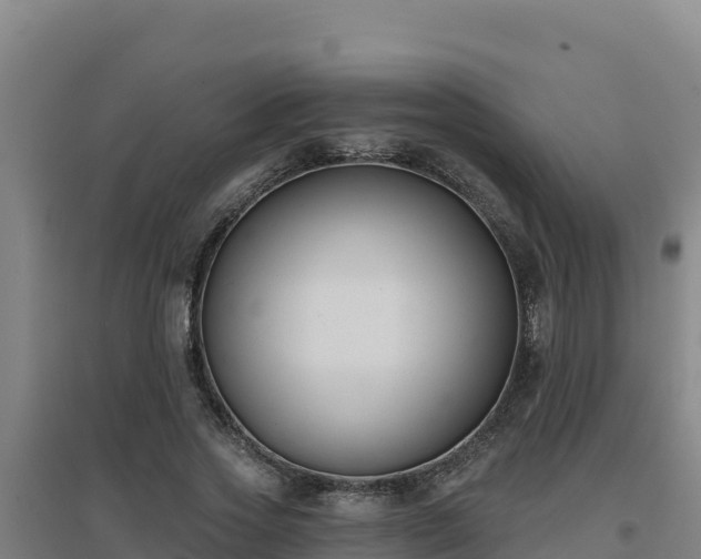X0000096720733200802121248