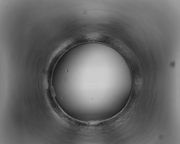 X0000096720734200802121248