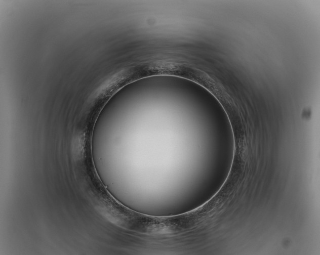 X0000096720735200802121248
