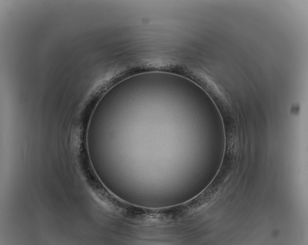 X0000096720736200802121248