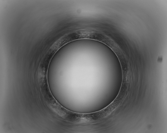 X0000096720737200802121248