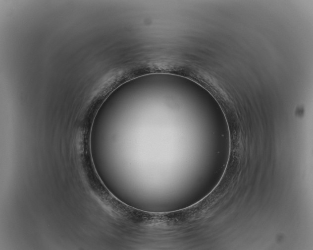 X0000096720738200802121248