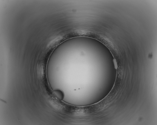 X0000096720740200802121248