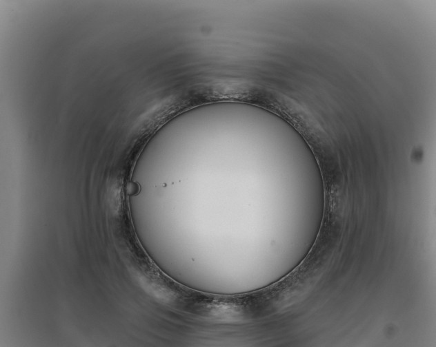 X0000096720741200802121248