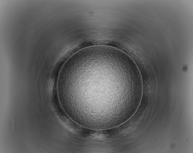 X0000096720742200802121248